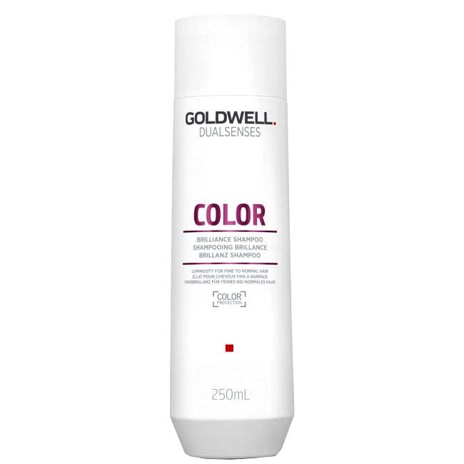 Goldwell Dualsenses Color Shampoo 30668