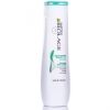 Matrix Biolage Scalpsync Anti Dandruff Shampoo 7630