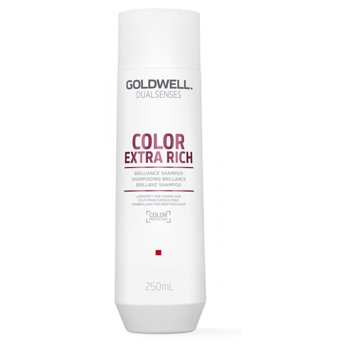 Goldwell Dualsenses Extra Rich Color Shampoo 55628